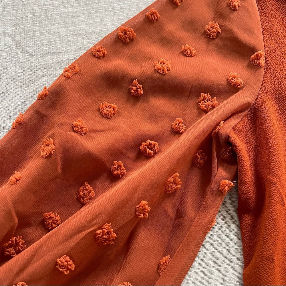 Rust Blouse - image 5